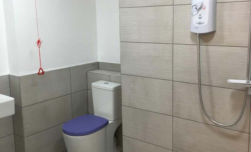 ISO standard grab rail